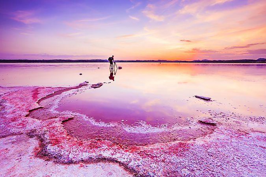 Laguna Rosa de Torrevieja