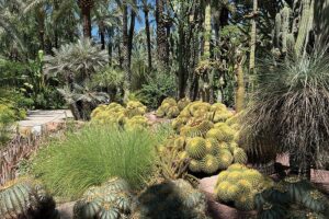 jardin du cure_1 à Elche