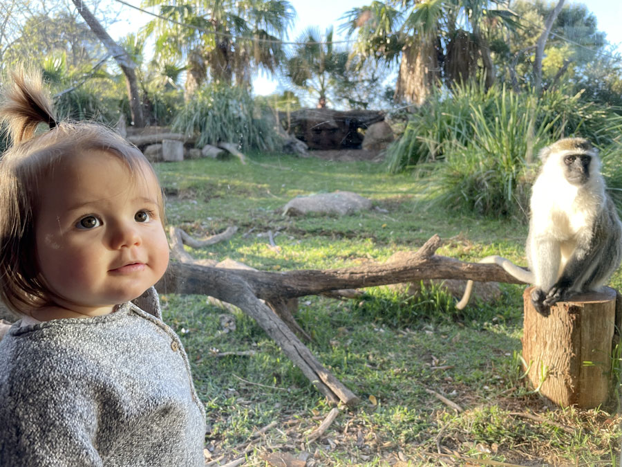 Rio Safari Elche