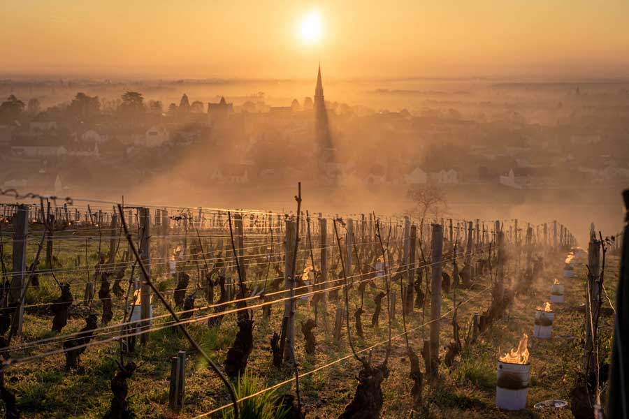Bordeaux