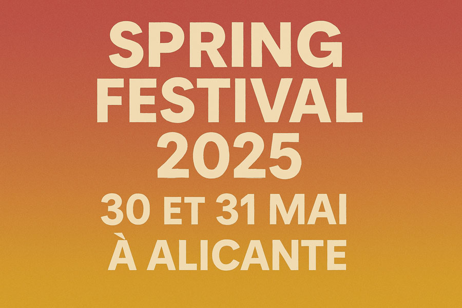 Spring Festival 2025