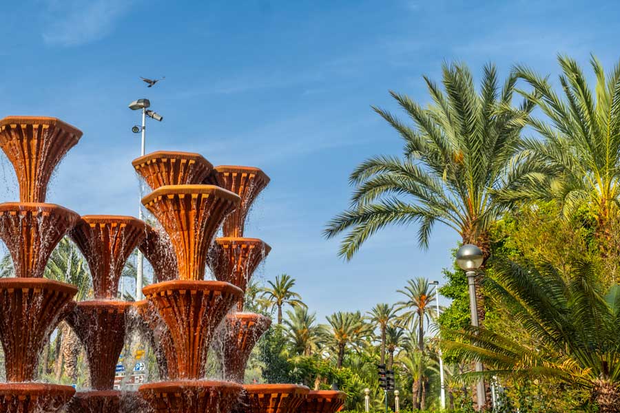 Elche en Août