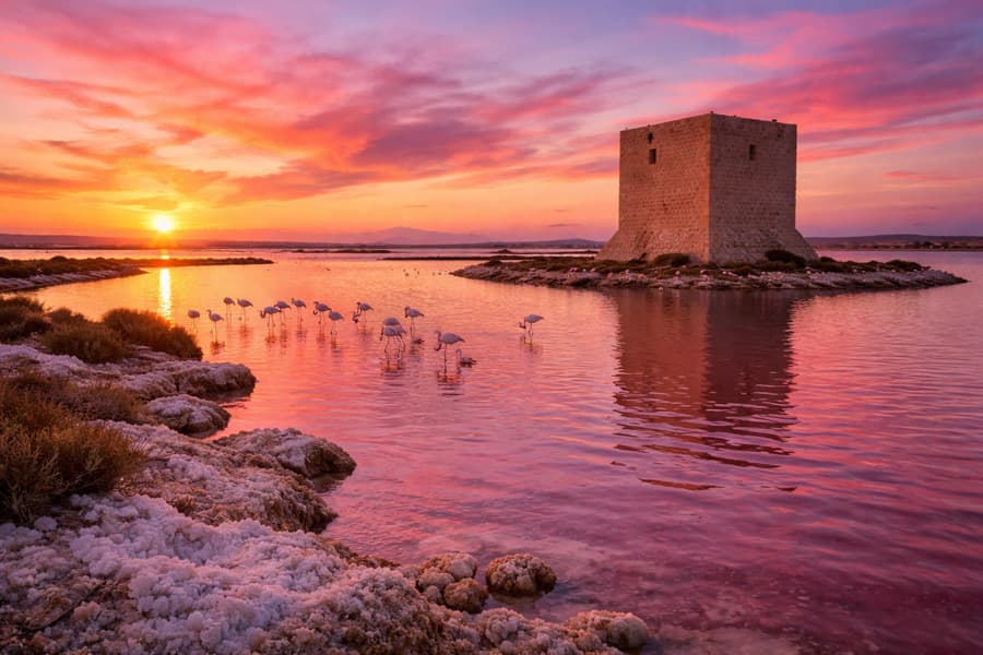 salines de santa pola