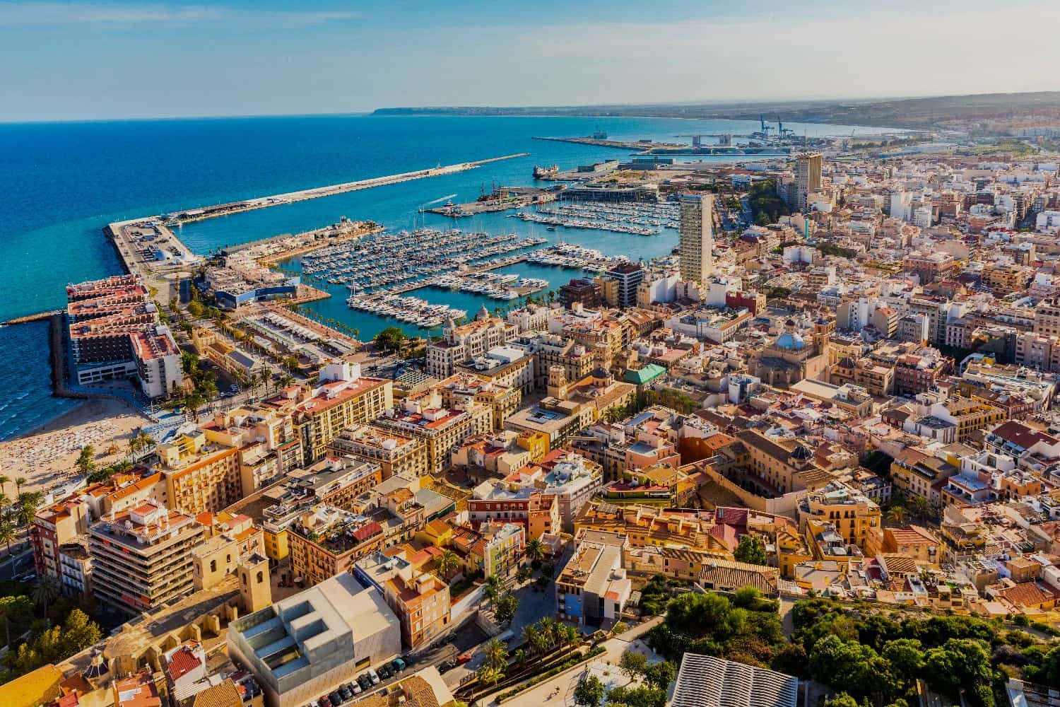 Alicante