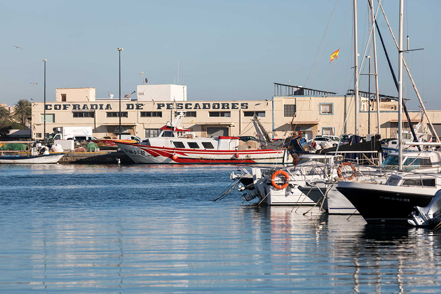 port pêchje santa pola